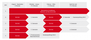 Ablauf Studium